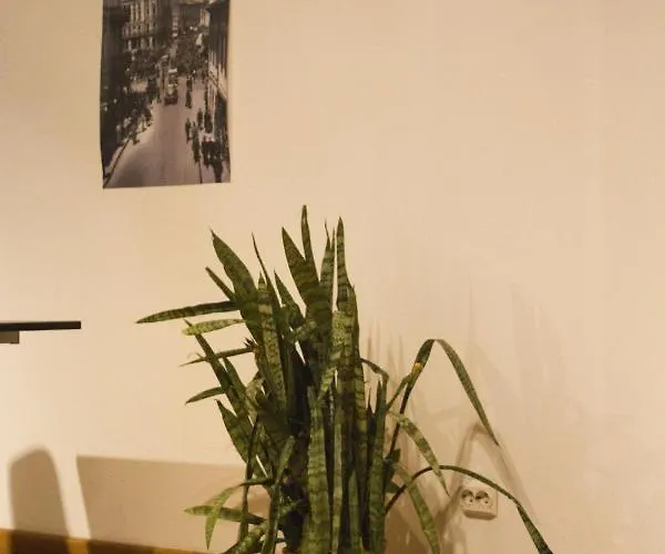 Appartement Residenza Don Pepito -shabbat Friendly Bucarest