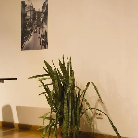 Апартаменти Residenza Don Pepito -shabbat Friendly Бухарест